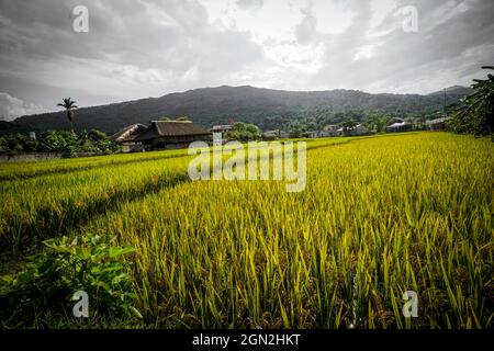 Khuoi mon village dans la province de Ha Giang au nord du Vietnam Banque D'Images