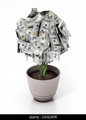 Usine d'argent dans le pot. 100 dollars de factures sur l'usine. Illustration 3D. Banque D'Images