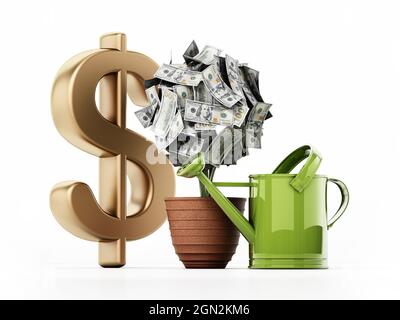 Usine d'argent dans le pot. 100 dollars de factures sur l'usine. Illustration 3D. Banque D'Images