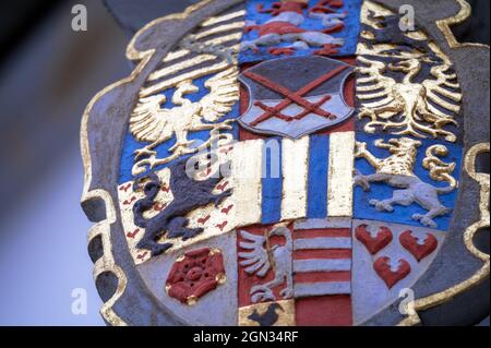 Gros plan des armoiries (XVIe siècle) sur le portail d'entrée historique de l'hôtel de ville de Wittenberg Banque D'Images