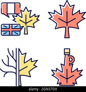 Signification des feuilles d'érable jeu d'icônes de couleur RVB Illustration de Vecteur