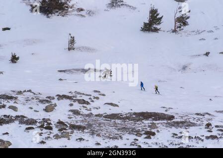 Skieurs ski de fond parmi les arbres qui poussent sur le flanc enneigé de la montagne par une journée ensoleillée. Banque D'Images