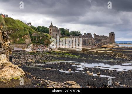 Les vestiges historiques du château de St Andrews, une forteresse médiévale du XIIIe siècle située sur une falaise au nord de la ville de Fife. Banque D'Images