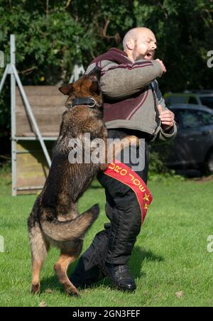 PC Lee Judge avec Atla le chien comme unité de police Scotland train à la police Scotland Dog Unit, Pollok Country Park, avant le sommet Cop26 à Glasgow. Date de la photo: Mercredi 22 septembre 2021. Banque D'Images