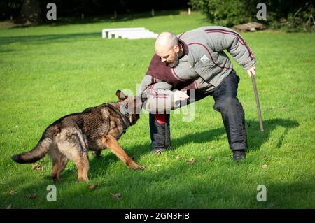 PC Lee Judge avec Atla le chien comme unité de police Scotland train à la police Scotland Dog Unit, Pollok Country Park, avant le sommet Cop26 à Glasgow. Date de la photo: Mercredi 22 septembre 2021. Banque D'Images