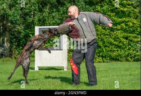 PC Lee Judge avec Atla le chien comme unité de police Scotland train à la police Scotland Dog Unit, Pollok Country Park, avant le sommet Cop26 à Glasgow. Date de la photo: Mercredi 22 septembre 2021. Banque D'Images