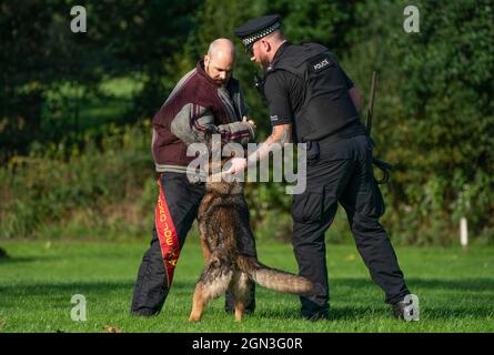 PC Lee Judge (à gauche) et PC David McIntyre avec Atla le chien comme unité de police Scotland train à l'unité de police Scotland Dog Unit, Pollok Country Park, avant le sommet Cop26 à Glasgow. Date de la photo: Mercredi 22 septembre 2021. Banque D'Images