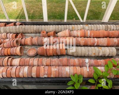 Pots de fleurs dans une maison verte, Angleterre Banque D'Images