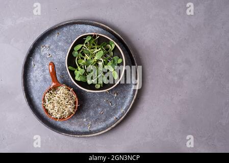 Pousses de lin et de tournesol dans des bols sur fond gris, microverts germés pour une alimentation saine, nourriture végétarienne, espace de copie. Banque D'Images