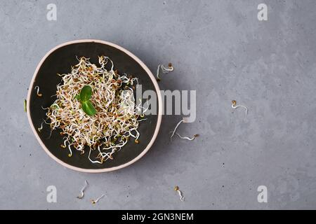 Bol avec lin germé, microverts sur fond gris, superaliments sains, espace de copie. Banque D'Images