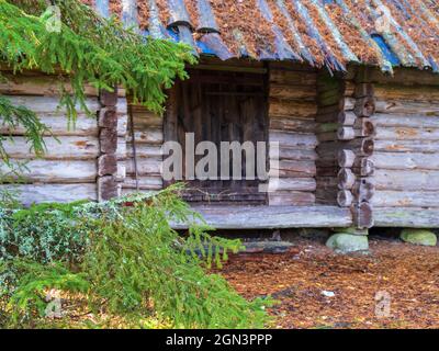 Maison en rondins avec une porte dans les bois Banque D'Images