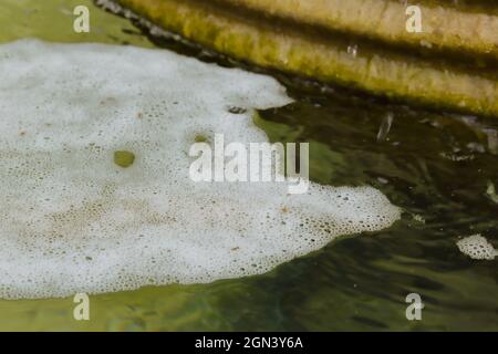 L'eau polluée semble verte et bulle sur le dessus. Banque D'Images