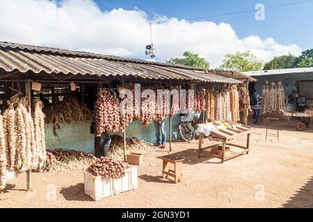 CAMAGUEY, CUBA - 26 JANVIER 2016 : étals d'ail et d'oignon au Mercado Agropeculario (marché agricole) Hatibonico à Camaguey, Cuba Banque D'Images