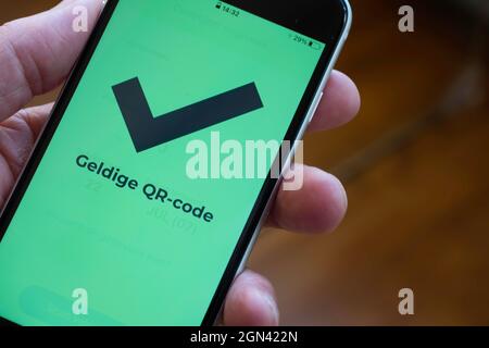 Main tenant smartphone avec texte néerlandais 'valid QR code' sur l'écran vert, ce qui signifie que le visiteur a été vacciné ou testé négatif. Concentrez-vous sur QR Banque D'Images