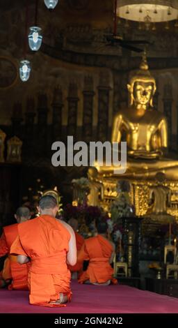 Bangkok, Thaïlande - 15 novembre 2020 : les moines bouddhistes assis priant et de payer respect image de Bouddha dans le vihan principal. Chant du soir. Mise au point et flou. Banque D'Images