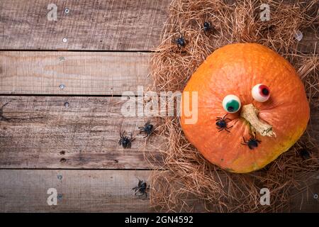 Citrouille d'Halloween. Décoration automnale festive composée de citrouilles, de feuilles, d'araignées, de squelettes et d'yeux amusants sur fond de bois ancien. Composition d'automne Flat Lay Banque D'Images