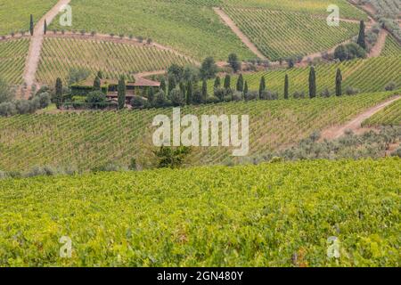 PAYSAGES DE LA RÉGION DU CHIANTI, TOSCANE, ITALIE Banque D'Images