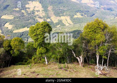 Un vélo s'inclinant contre l'un des premiers arbres de la forêt Atlantica, qui commence dans la vallée. Banque D'Images