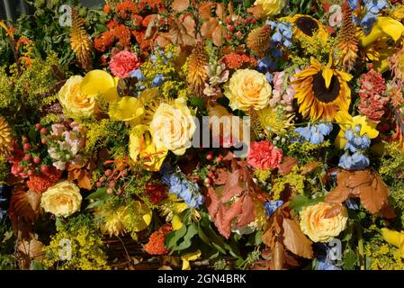 Londres, Royaume-Uni. 22 septembre 2021. Chelsea in Bloom exposition d'art florale annuelle et douche de fleur dans les boutiques et les rues de Chelsea mis sur pour coïncider avec le Chelsea Flower Show. Thème de cette année - 'Voyage extraordinaire' Credit: Phil Robinson/Alamy Live News Banque D'Images