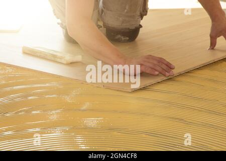 CRAFTSMAN pose de parquet à chevrons professionnellement Banque D'Images