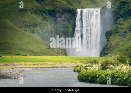 Paysage de cascade de Skogafoss dans le sud de l'Islande Banque D'Images