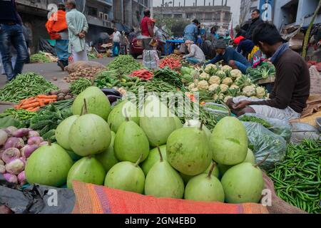 Kolkata, Bengale-Occidental, Inde - 16 décembre 2018 : la Calabash, gourde en bouteille, ou gourde à fleurs blanches, Lagenaria siceraria, est une vigne cultivée pour ses fruits Banque D'Images