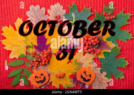 Le 31 octobre est la date d'Halloween. Forme de citrouille avec un sourire effrayant Halloween sur un fond d'automne coloré de feuilles séchées, baies sur un knitt Banque D'Images