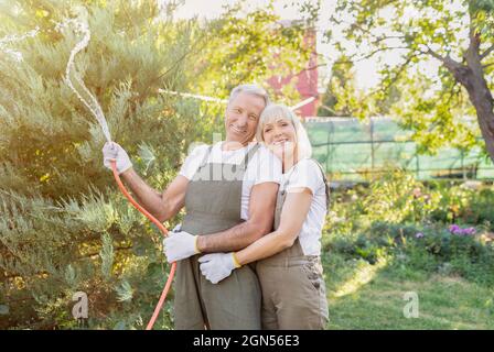 Charmant couple senior arrosant les plantes avec le tuyau, embrassant et souriant à l'appareil photo, jardinage ensemble Banque D'Images