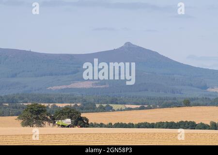 Vue sur les terres agricoles d'Aberdeenshire vers Bennachie, avec une moissonneuse-batteuse Claas travaillant dans un champ d'orge Banque D'Images