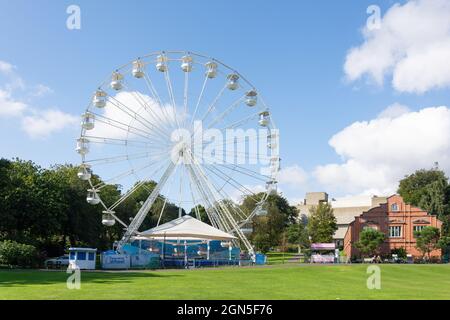 Roue panoramique, jardins botaniques, quartier Queens, ville de Belfast, Irlande du Nord, Royaume-Uni Banque D'Images