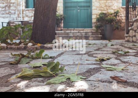 Les feuilles vertes se rapprochent du sol en pierre dans une cour grecque traditionnelle avec des murs en pierre et des volets bleus. Voyages d'été architecture d Banque D'Images