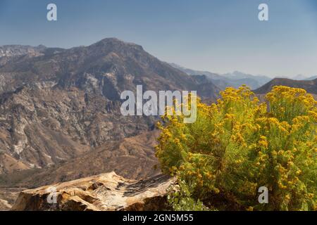 Parc national de Kings Canyon, Californie, États-Unis Banque D'Images