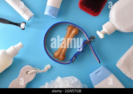 Arrière-plan avec produits d'entretien pour pelage de chien sur fond bleu. Vue de dessus. Composition horizontale. Banque D'Images