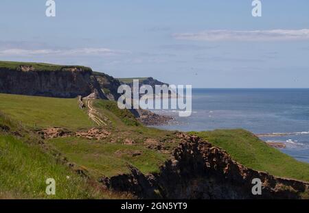 Vue sur le sentier longue distance de Cleveland Way dans le North Yorkshire en Grande-Bretagne. Banque D'Images