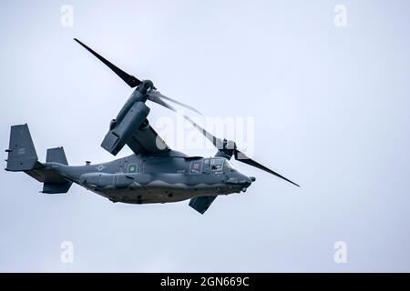 Un CV-22A Osprey affecté à l'escadre des opérations spéciales 352d vole au-dessus de la tête lors d'un exercice d'emploi au combat Agile à la RAF Fairford, en Angleterre, le 13 septembre 2021. Les aviateurs de la 501e Escadre de soutien au combat, de la 100e Escadre de ravitaillement en vol et de l'ÉDT 352d se sont associés pour effectuer un exercice ACE afin de tester leurs capacités globales de préparation et de létalité. L'exercice permet aux forces américaines en Europe d'opérer à partir de sites ayant des niveaux variables de capacité et de soutien. (É.-U. Photo de la Force aérienne par le premier Airman Eugene Oliver) Banque D'Images