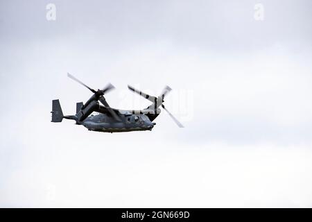 Un CV-22A Osprey affecté à l'escadre des opérations spéciales 352d vole au-dessus de la tête lors d'un exercice d'emploi au combat Agile à la RAF Fairford, en Angleterre, le 13 septembre 2021. L'exercice permet aux forces américaines en Europe d'opérer à partir de sites ayant des niveaux variables de capacité et de soutien. Cela garantit en outre que les aviateurs et les équipages sont postinés pour fournir une puissance de combat mortelle sur toute la gamme des opérations militaires. (É.-U. Photo de la Force aérienne par le premier Airman Eugene Oliver) Banque D'Images