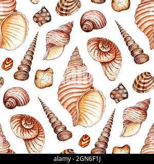 Illustration aquarelle des coquillages à motif sans couture dans des couleurs beige. Un arrière-plan marin sans cesse répété. Pétoncles, mollusques et spirales. Isolé Banque D'Images