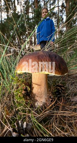 Briesen, Allemagne. 22 septembre 2021. Un champignon porcini pousse au bord d'une forêt. Depuis quelques semaines maintenant, de nombreux champignons poussent de nouveau dans les forêts de Brandebourg. Credit: Patrick Pleul/dpa-Zentralbild/ZB/dpa/Alay Live News Banque D'Images