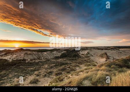 Coucher de soleil sur les dunes de la Slack, hauts de France, Côte d'opale Banque D'Images