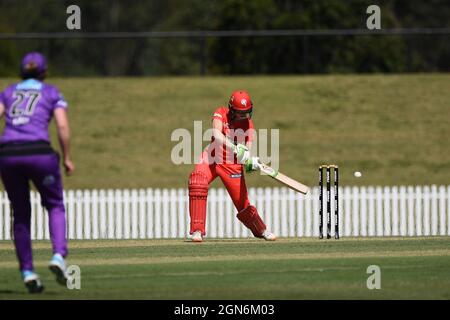 SYDNEY, AUSTRALIE - 03 NOVEMBRE : Amy Satterthwaite des Melbourne Renegades arrive au match de cricket de la semaine 2 de la Ligue des Big Bash pour femmes entre les ouragans de Hobart et les Renegades de Melbourne le 03 novembre 2020 à Blacktown ISP, en Australie. Crédit : Steven Markham/Speed Media/Alay Live News Banque D'Images