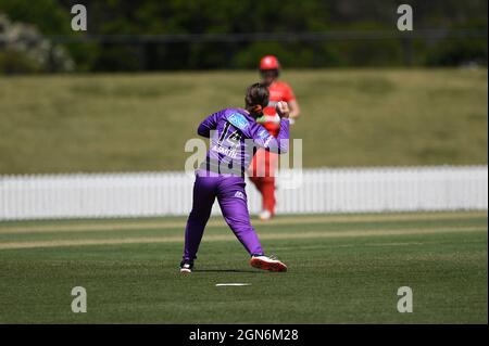 SYDNEY, AUSTRALIE - 03 NOVEMBRE : Amy Smith des Hobart Hurricanes lance le ballon lors du match de cricket de la Big Bash League féminin de la semaine 2 entre Hobart Hurricanes et Melbourne Renegades le 03 novembre 2020 à Blacktown ISP, en Australie. Crédit : Steven Markham/Speed Media/Alay Live News Banque D'Images