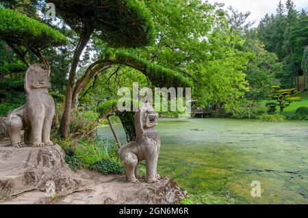 Maulevrier Oriental Park (les plus grands jardins japonais d'Europe), Maulevrier, Maine-et-Loire (49), pays de la Loire, France Banque D'Images