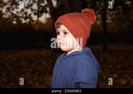 Un garçon de 3 ans dans un chapeau orange et une veste bleue marche dans la forêt d'automne et regarde loin. Banque D'Images