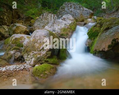 petite rivière profonde dans les bois verts. magnifique paysage printanier de montagnes campagne. eau claire au milieu de la forêt et de la rive rocheuse. clôture en bois Banque D'Images