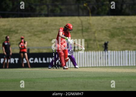 SYDNEY, AUSTRALIE - 03 NOVEMBRE : Amy Satterthwaite des Melbourne Renegades arrive au match de cricket de la semaine 2 de la Ligue des Big Bash pour femmes entre les ouragans de Hobart et les Renegades de Melbourne le 03 novembre 2020 à Blacktown ISP, en Australie. Crédit : Steven Markham/Speed Media/Alay Live News Banque D'Images