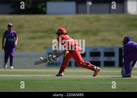 SYDNEY, AUSTRALIE - 03 NOVEMBRE : Amy Satterthwaite des Melbourne Renegades arrive au match de cricket de la semaine 2 de la Ligue des Big Bash pour femmes entre les ouragans de Hobart et les Renegades de Melbourne le 03 novembre 2020 à Blacktown ISP, en Australie. Crédit : Steven Markham/Speed Media/Alay Live News Banque D'Images