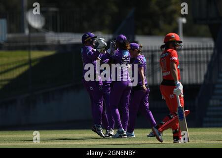SYDNEY, AUSTRALIE - 03 NOVEMBRE : Hobart célèbre le cricket d'Amy Satterthwaite des Melbourne Renegades pendant la semaine 2, le match de cricket de la Big Bash League féminin entre Hobart Hurricanes et Melbourne Renegades, le 03 novembre 2020, à Blacktown ISP, en Australie. Crédit : Steven Markham/Speed Media/Alay Live News Banque D'Images