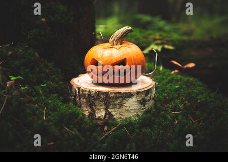 Lanterne de Jack dans une forêt mystique effrayante. Citrouille sculptée. Arrière-plan de Halloween. Banque D'Images