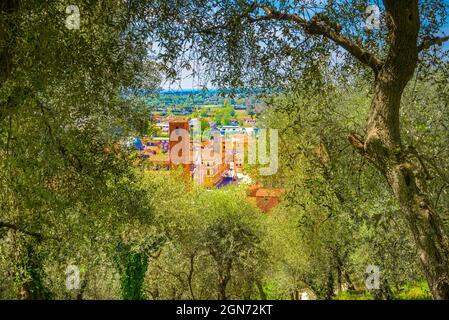 Pietrasanta vue aérienne de la forteresse Rocca di Sala à la tour cloche et l'olivier, Versilia, Lucca, Toscane, Italie, Europe Banque D'Images