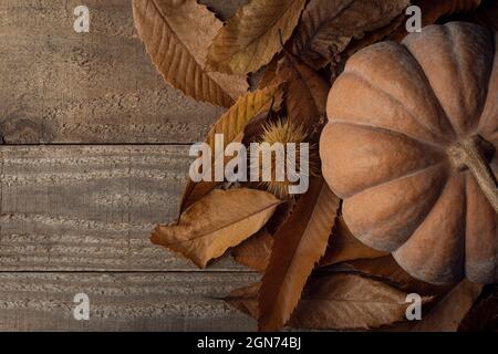 Citrouille couchée sur un lit de feuilles de châtaignier sur une table en bois Banque D'Images